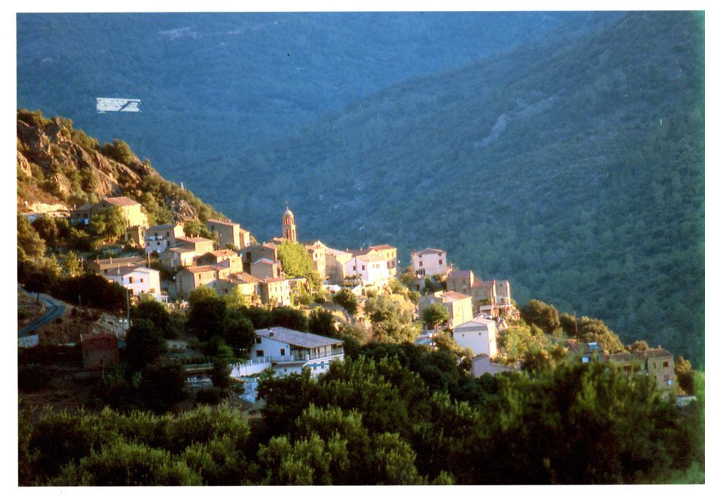 A Pianella Otel Castirla Dış mekan fotoğraf